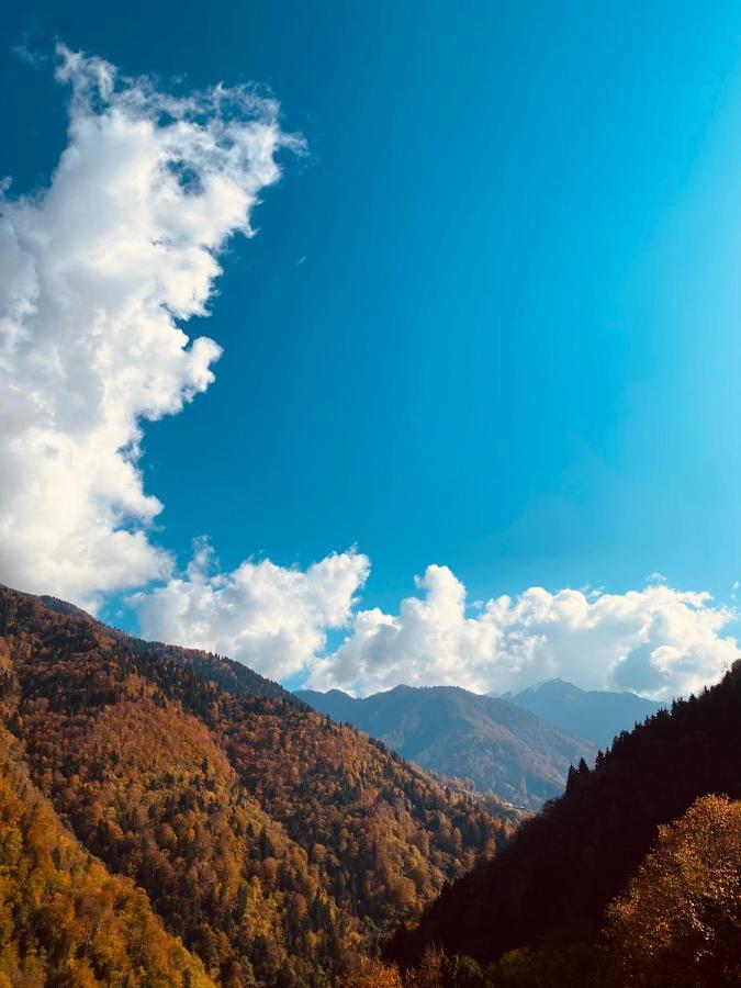 Seyr-I Cennet Dag Evleri Çamlıhemşin Екстериор снимка
